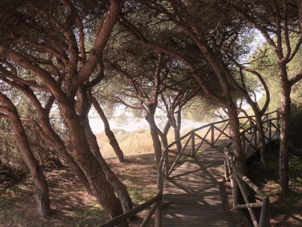 Atico Con Vistas A La Ria De Punta Umbria Διαμέρισμα Εξωτερικό φωτογραφία